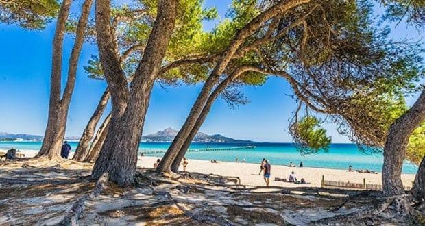 Naty Apartaments Alcudia  Exteriör bild